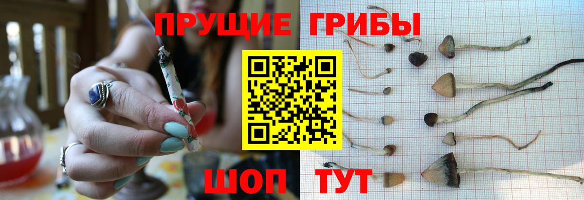 Псилоцибиновые грибы Magic Shrooms  Вход с VPN  Тобольск 