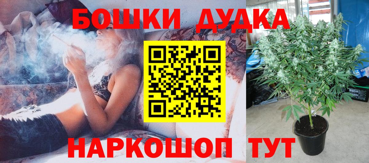Бошки Шишки индика Тобольск